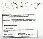 Сканированный гербарный сбор